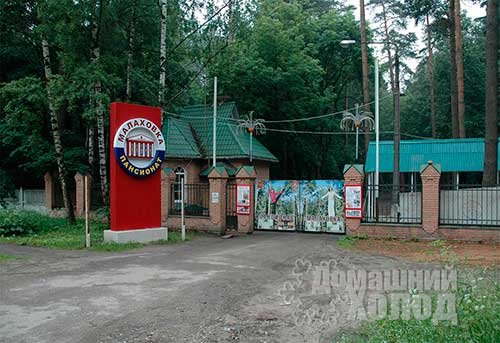 Ремонт стиральных машин на дому в Малаховке